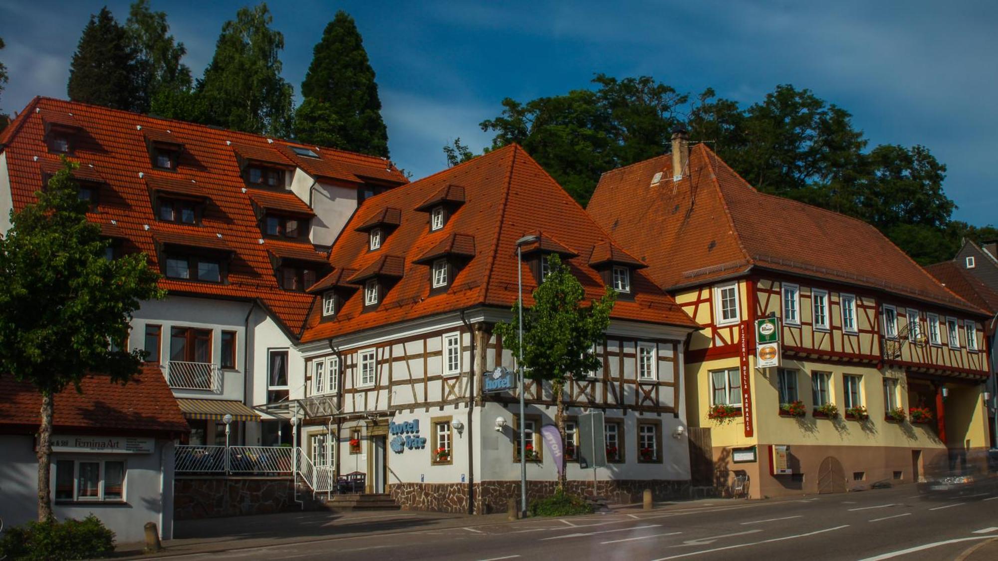Hotel Baer Sinsheim Luaran gambar